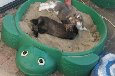 Hopnoodling in the sand