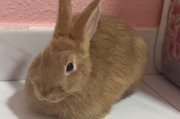 wait what? i didn’t order bread today 🍞