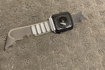 Missing ⌚️ found days later. (x-post r/Rabbits)