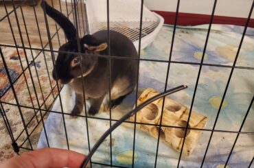 Upset because I had to put him to bed early so I can go replace the laptop cord he decided break. Unfortunately my professor thinks I'm just making things up.