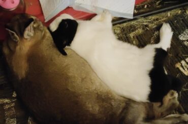 Spooning.
