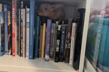 He decided to eat momma's books. He's also damaged my chem lab book...