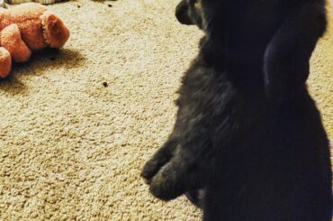 Where's the food, ma?