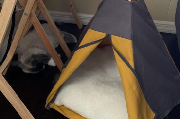 Echo’s teepee is right there…