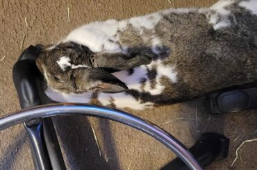 I was told this image of Terrence belongs here