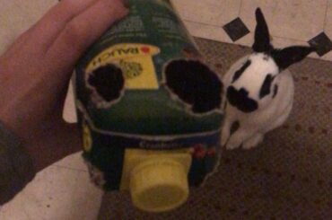 I‘m assuming this is supposed to be a self-portrait?