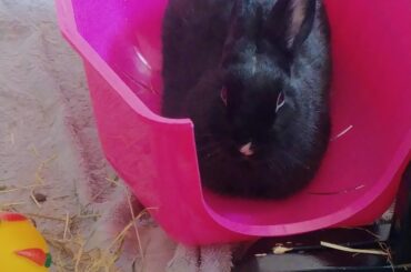 Just got this loaf out of the oven