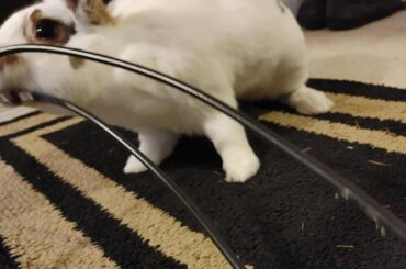 Hi! I'm Heidi, and FUCK YOUR COAX CABLE