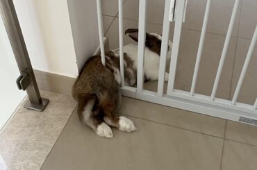 Should have posted into r/therewasanattempt?