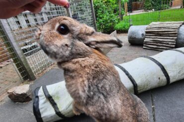 when you have a bit of food