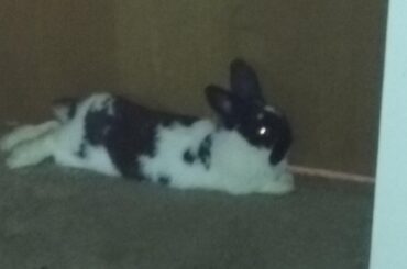 Baby loaf when she was about 4 months old