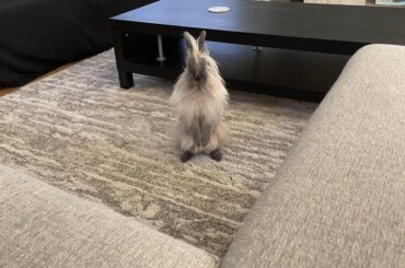 Benni just wanted to say ‘sup