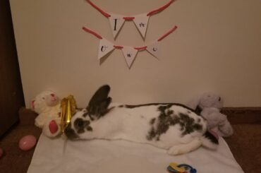 Maeve partied too hard on her 1st birthday today!