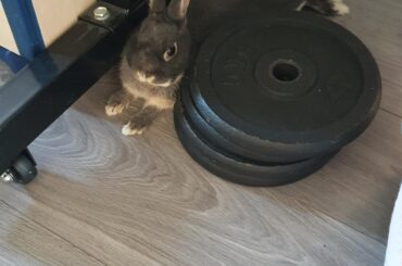 A snug fit