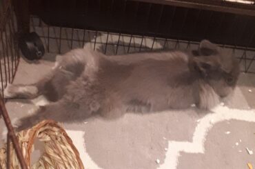 Just found this sub...though this would fit here.