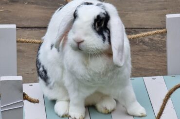 Didn't do nothing mate.....