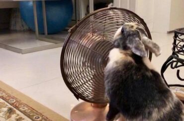 It‘s too hot here.