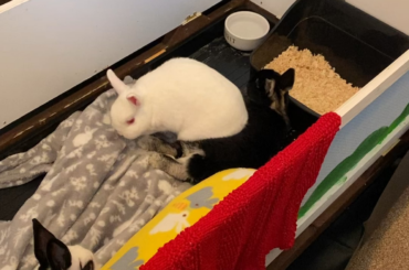 Pepper: I just wanted to chill, do you have to be yourself, Salt?