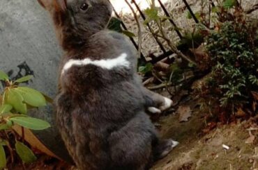 Little man saw something interesting