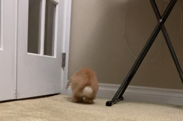 It’s a big world out there! 👀