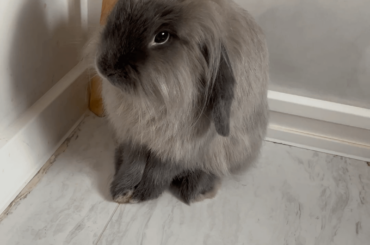 This woman just kicked my coffee. Too cute to be mad..