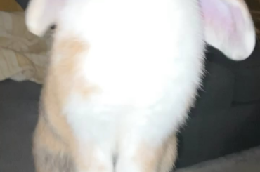 Cilantro would get her into a creepy van