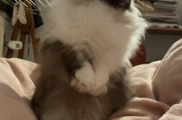 She’s checking the perimeters