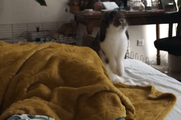 I thought maybe the standing up part fits here as well :)