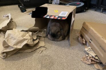 Didn’t know Amazon delivered bread