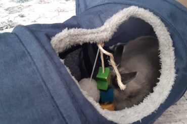 His toys keep his head up