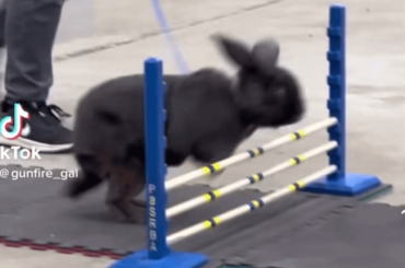 Perfect time to get buncomfortable.