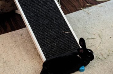 On his ramp, and a toy cup
