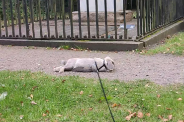 the flop at the end <3