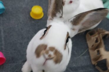 "What's that in your hand?"