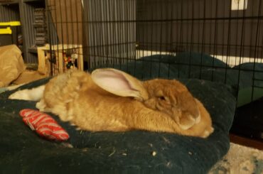 That leg though