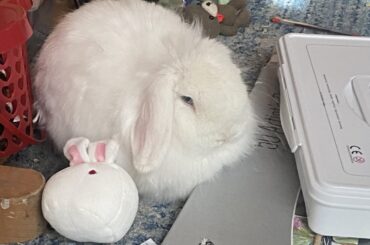Cuddles between her twin, a pencil pallet, and a bucket of tube paints