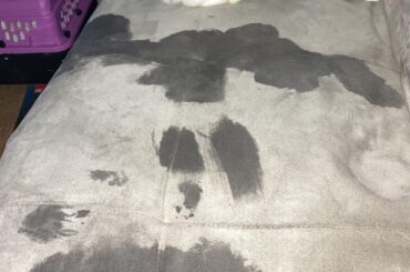 Don’t trust her innocent face