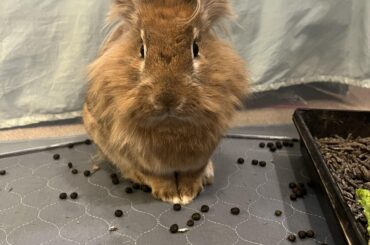 What a handsome slob