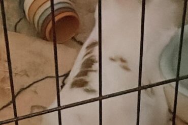 Binky reflecting on 2022 and putting it behind him