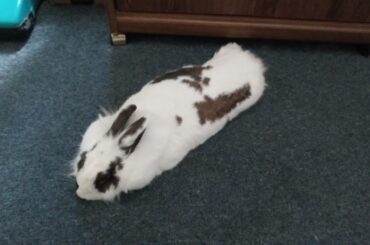 I thought you all would appreciate my noodle.