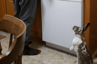 Da fuq he doin up der?