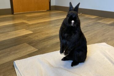 First trip to the vet!!