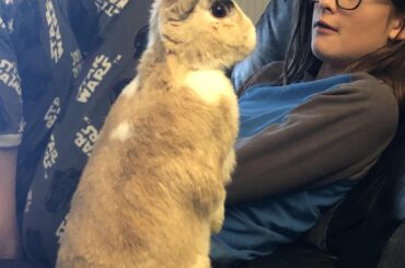 My buddy Echo Bunnyman