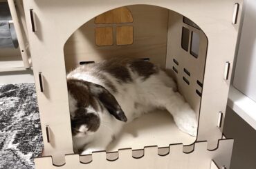Ah the comfort of hard flat surfaces and corners