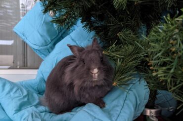 "What ? I wasn't trying to eat the wall, no !"