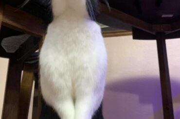 Sometimes, I am derp