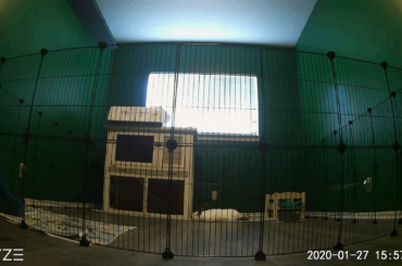 Checked on Luna while I was at work and found a noodle instead