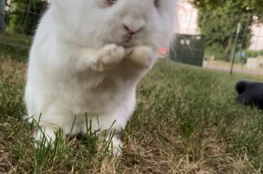 My man Blizzard 🥰