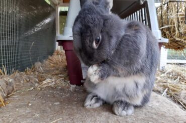 Steve having a wash while standing