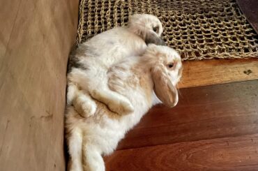 Is it ok if I rest my legs up here?